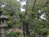 sf_japanese_gardens
